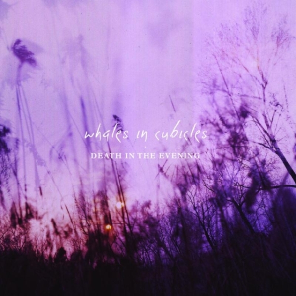 Whales In Cubicles - Death In The Evening i gruppen CD / Pop hos Bengans Skivbutik AB (3930329)