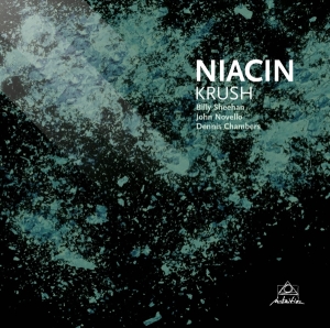 Niacin - Krush i gruppen CD hos Bengans Skivbutik AB (3931652)