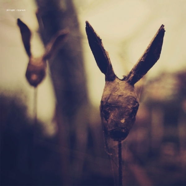 Still Light - Rosarium i gruppen CD / Rock hos Bengans Skivbutik AB (3931719)