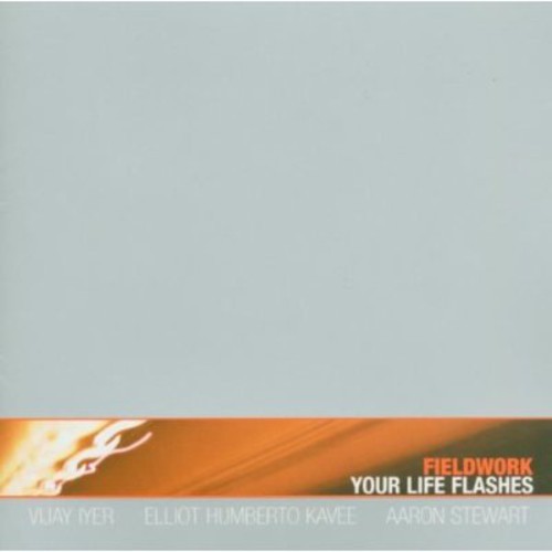 Fieldwork - Your Life Flashes i gruppen CD / Jazz/Blues hos Bengans Skivbutik AB (3932238)