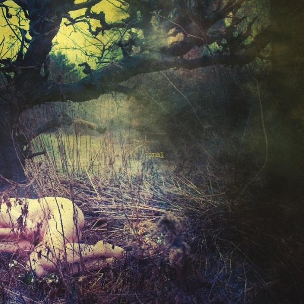 Final - Apple Never Falls Far From The Tree i gruppen VINYL / Toppselgere hos Bengans Skivbutik AB (3933832)