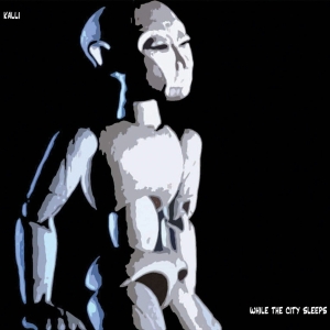 Kalli - While The City Sleeps i gruppen CD / Pop-Rock,Annet hos Bengans Skivbutik AB (3933979)