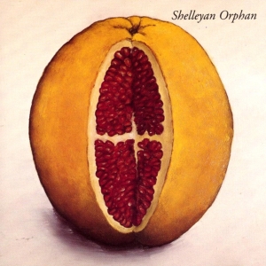 Shelleyan Orphan - Humroot i gruppen CD hos Bengans Skivbutik AB (3934934)