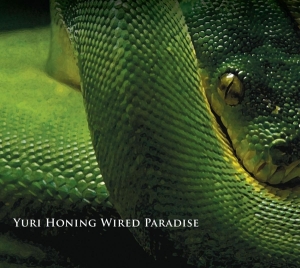 Yuro Wired Paradise Honing - Temptation i gruppen CD hos Bengans Skivbutik AB (3935340)