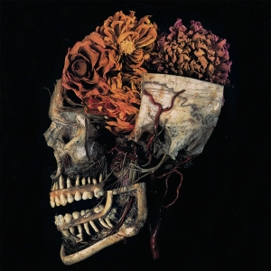 Kingdom - Hemeltraan i gruppen VINYL / Metal/ Heavy metal hos Bengans Skivbutik AB (3935540)