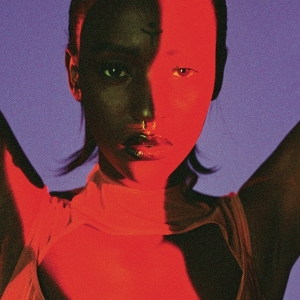 Lous And The Yakuza - Gore i gruppen VINYL / Hip Hop-Rap hos Bengans Skivbutik AB (3935726)