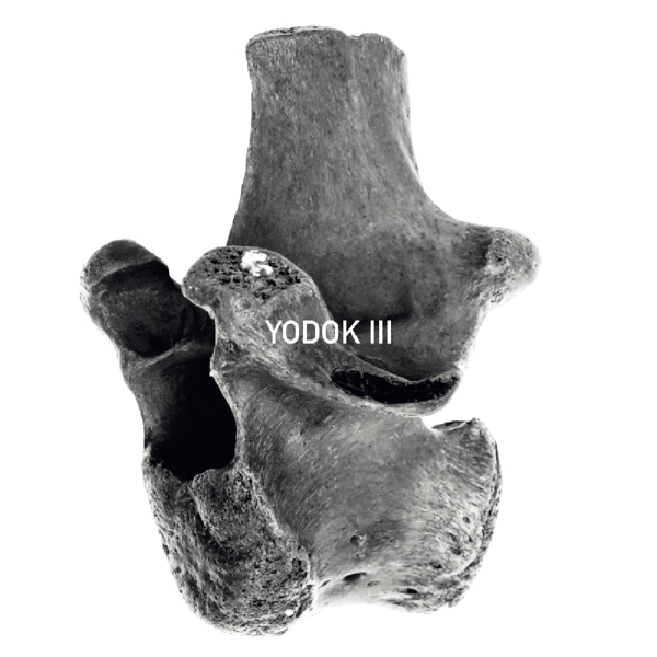 Yodok III - Yodok III i gruppen CD / Pop hos Bengans Skivbutik AB (3936723)