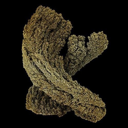 Max Cooper - Emergence -Digi- i gruppen CD / Dans/Techno hos Bengans Skivbutik AB (3936850)