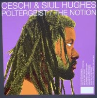 Ceschi And Siul Hughes - Poltergeist / The Notion i gruppen VINYL hos Bengans Skivbutik AB (3942316)