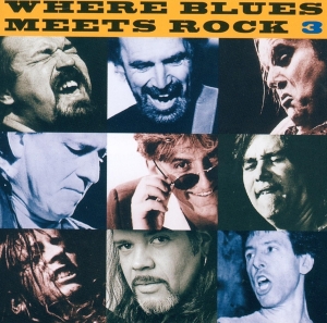 Various - Where Blues Meets Rock 3 i gruppen Annet /  hos Bengans Skivbutik AB (3950485)