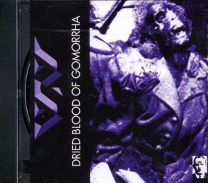 Voulzy Laurent - Belle Ile En Mer 1977/1988 i gruppen CD / Pop-Rock hos Bengans Skivbutik AB (3951669)