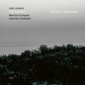 Joe Lovano Trio Tapestry - Garden Of Expression i gruppen CD hos Bengans Skivbutik AB (3957429)