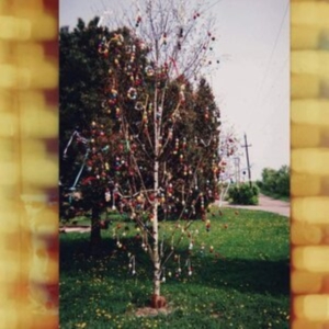 Kraus - A Golden Brain i gruppen VINYL / Pop-Rock hos Bengans Skivbutik AB (3962180)