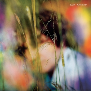 Sam Amidon - Sam Amidon(Ltd.2Lp Rainbow) i gruppen Annet /  hos Bengans Skivbutik AB (3962237)