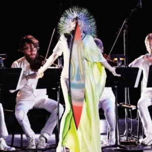 Bjork - Vulnicura Strings i gruppen VINYL / Pop-Rock,Annet hos Bengans Skivbutik AB (3962782)