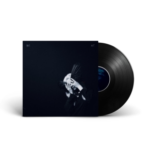 Anna B Savage - A Common Turn i gruppen VINYL hos Bengans Skivbutik AB (3964999)