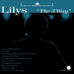 Lilys - The 3 Way i gruppen VINYL / Pop-Rock hos Bengans Skivbutik AB (3967753)