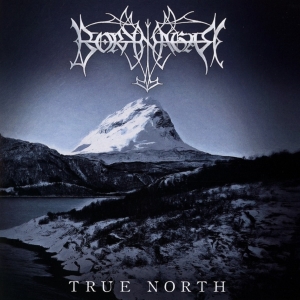 Borknagar - True North i gruppen Annet /  hos Bengans Skivbutik AB (3968360)
