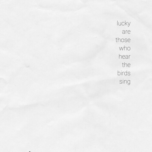 Various Artists - Lucky Are Those Who Hear The Birds i gruppen VINYL / Dans/Techno hos Bengans Skivbutik AB (3969802)