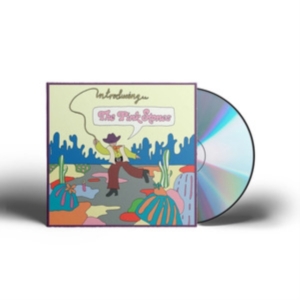 Pink Stones The - Introducing...The Pink Stones i gruppen CD / Country,Pop-Rock hos Bengans Skivbutik AB (3969921)