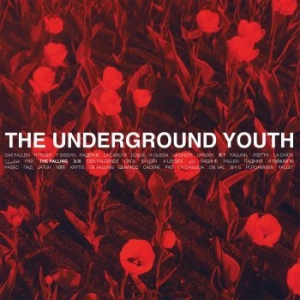 Underground Youth - Falling i gruppen CD hos Bengans Skivbutik AB (3975112)
