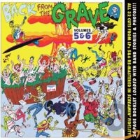V/A - Back From The Grave Vol 5 & 6 - Vol 5 & 6 - Back From The Grave i gruppen CD hos Bengans Skivbutik AB (3975185)