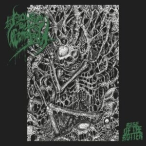 House By The Cemetary - Rise Of The Rotten i gruppen CD / Metal hos Bengans Skivbutik AB (3976129)