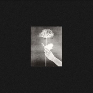 White Flowers - Day By Day i gruppen CD / Rock hos Bengans Skivbutik AB (3977680)