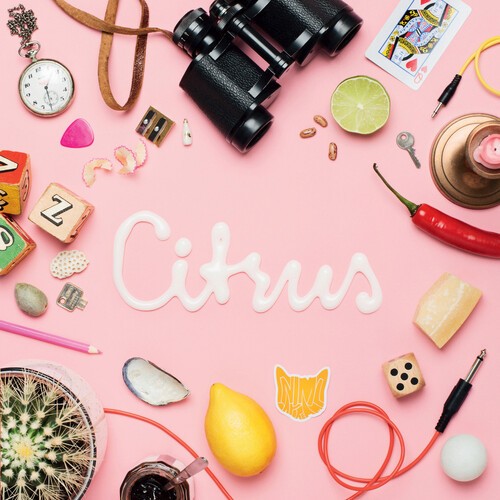 Animal Daydream - Citrus Ep i gruppen VINYL / Rock hos Bengans Skivbutik AB (3979456)