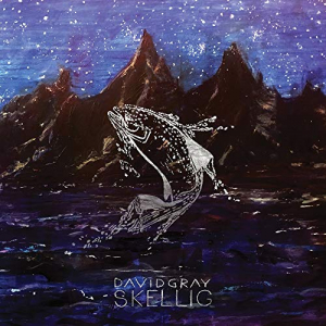Gray David - Skellig i gruppen VINYL / Rock hos Bengans Skivbutik AB (3979523)