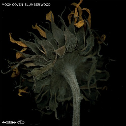 Moon Coven - Slumber Wood i gruppen VINYL / Rock hos Bengans Skivbutik AB (3979563)