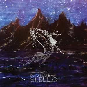 Gray David - Skellig i gruppen CD hos Bengans Skivbutik AB (3979679)