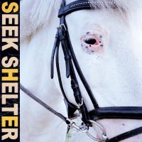 Iceage - Seek Shelter i gruppen CD hos Bengans Skivbutik AB (3979684)