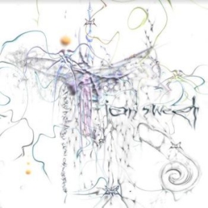 Sweet Ian - Show Me How You Disappear i gruppen CD / Rock hos Bengans Skivbutik AB (3979701)