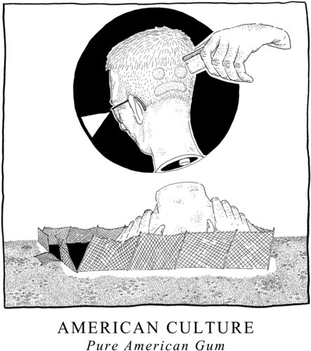 American Culture - Pure American Gum i gruppen CD / Rock hos Bengans Skivbutik AB (3979757)