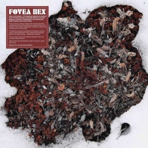 FOVEA HEX - SALT GARDEN - LANDSCAPED (LP+CD) i gruppen Annet /  hos Bengans Skivbutik AB (3981600)