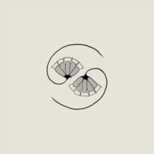 Godspeed You! Black Emperor - G_D's Pee At State's End! (Lp+10'') i gruppen Minishops / Godspeed You hos Bengans Skivbutik AB (3981820)