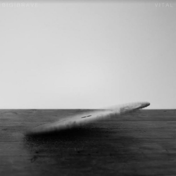 Big / Brave - Vital i gruppen CD / Toppselgere hos Bengans Skivbutik AB (3981845)