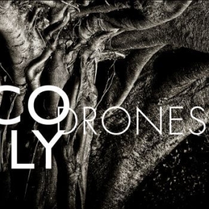 Nico Muhly - Drones i gruppen CD / Pop hos Bengans Skivbutik AB (3983406)