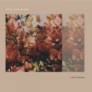Hatakeyama Chihei - Late Spring i gruppen CD hos Bengans Skivbutik AB (3985188)