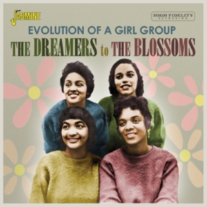 Various Artists - Dreamers To The Blossoms - Evolutio i gruppen CD / Pop-Rock hos Bengans Skivbutik AB (3986998)