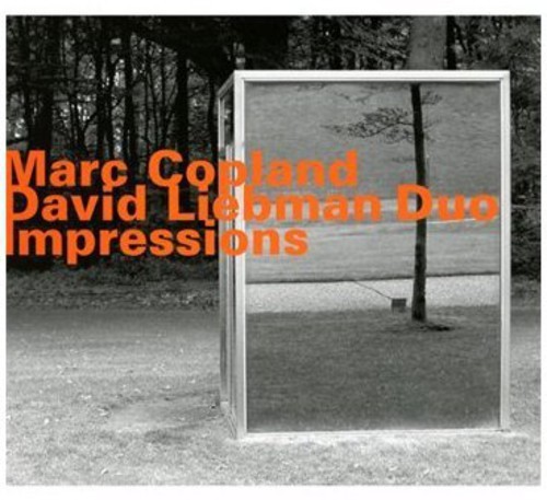 David Liebman-Marc Copland Duo - Impressions i gruppen CD / Jazz/Blues hos Bengans Skivbutik AB (3987068)