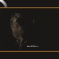 Lambchop - Showtunes i gruppen VINYL / Pop-Rock hos Bengans Skivbutik AB (3987174)