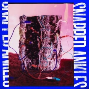 Snapped Ankles - Forest Of Your Problems (The Busine i gruppen Annet /  hos Bengans Skivbutik AB (3987468)