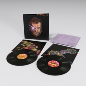 Grant John - Boy From Michigan i gruppen Minishops / John Grant hos Bengans Skivbutik AB (3987502)