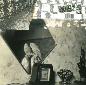 Swell Maps - Mayday Signals i gruppen CD hos Bengans Skivbutik AB (3987570)