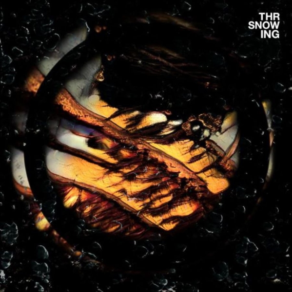 Throwing Snow - Dragons (Marbled Orange Vinyl) i gruppen VINYL / Toppselgere hos Bengans Skivbutik AB (3989239)