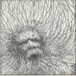 Nemorous - Nemorous (Vinyl Lp + Cd) i gruppen VINYL / Metal hos Bengans Skivbutik AB (3989955)