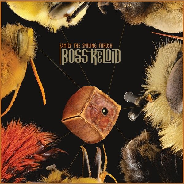 Boss Keloid - Family The Smiling Thrush i gruppen VINYL / Metal/ Heavy metal hos Bengans Skivbutik AB (3990266)