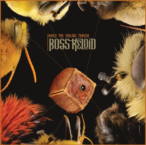 Boss Keloid - Family The Smiling Thrush i gruppen CD / Toppselgere hos Bengans Skivbutik AB (3990321)
